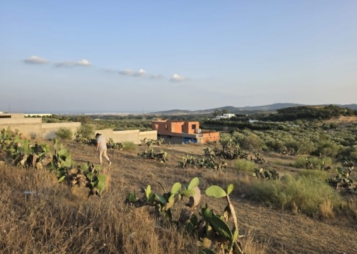 Terrain Agricole à Vendre à El Haouaria – Nabeul | - Bien immobilier à {"id":16,"country_id":219,"name":"NABEUL","slug":"nabeul"} - Image 2 - Agence General Immobilier - Agence Immobilière Agence General Immobilier