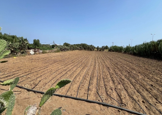 Terrain à Vendre à Nabeul – 2300 m² | Une Opportun - Bien immobilier à {"id":16,"country_id":219,"name":"NABEUL","slug":"nabeul"} - Image 3 - Agence General Immobilier - Agence Immobilière Agence General Immobilier