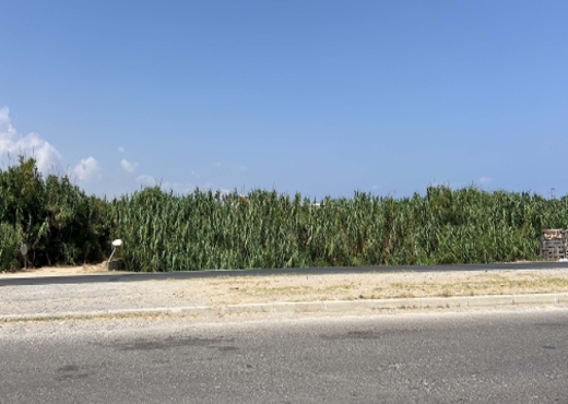 Terrain à Vendre à Nabeul – 2300 m² | Une Opportun - Bien immobilier à {"id":16,"country_id":219,"name":"NABEUL","slug":"nabeul"} - Image 2 - Agence General Immobilier - Agence Immobilière Agence General Immobilier