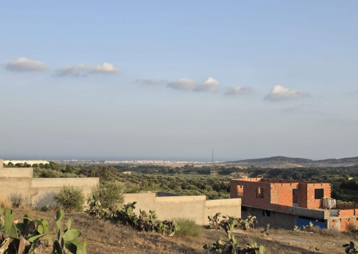 Terrain Agricole à Vendre à El Haouaria – Nabeul | - Bien immobilier à {"id":16,"country_id":219,"name":"NABEUL","slug":"nabeul"} - Agence Immobilière immo\'in