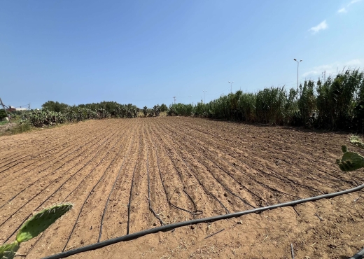 Terrain à Vendre à Nabeul – 2300 m² | Une Opportun - Bien immobilier à {"id":16,"country_id":219,"name":"NABEUL","slug":"nabeul"} - Image 4 - Agence General Immobilier - Agence Immobilière Agence General Immobilier